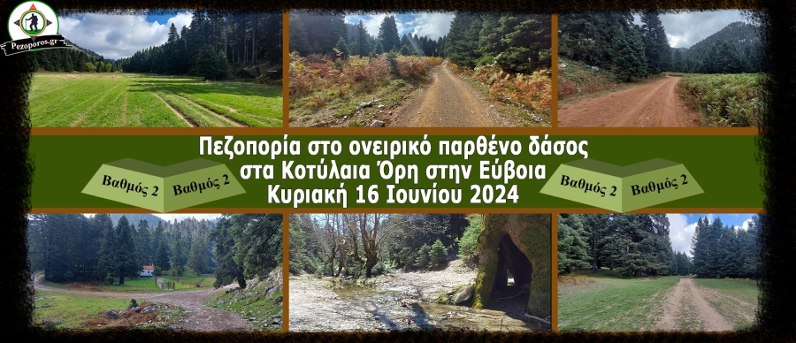 Kotylaia_Main