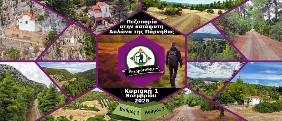 Main_Avlona2