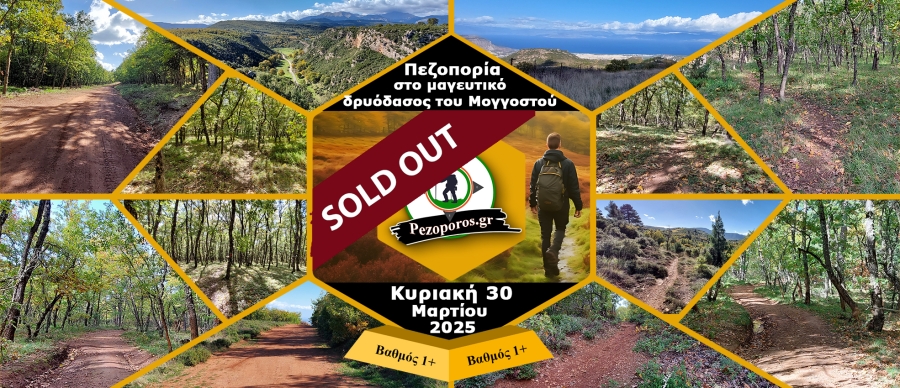 Moggostos25_SoldOut