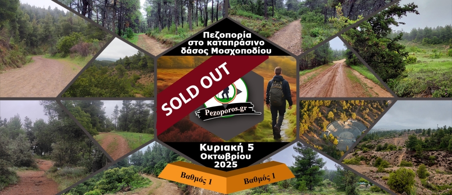 Thiva_SoldOut